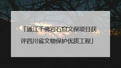 通江千佛岩石窟文保项目获评四川省文物保护优质工程