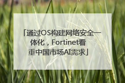 通过OS构建网络安全一体化，Fortinet看重中国市场AI需求