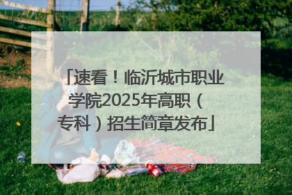 速看！临沂城市职业学院2025年高职（专科）招生简章发布