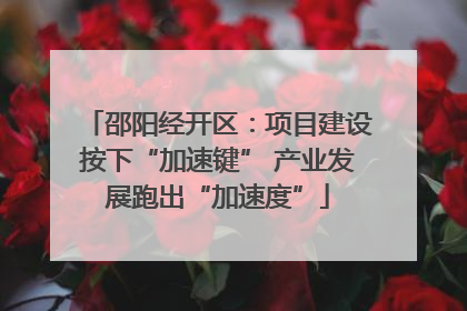 邵阳经开区：项目建设按下“加速键” 产业发展跑出“加速度”