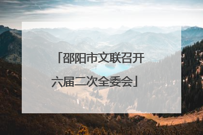邵阳市文联召开六届二次全委会