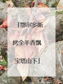 鄂尔多斯烤全羊香飘宝塔山下