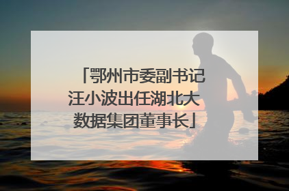 鄂州市委副书记汪小波出任湖北大数据集团董事长