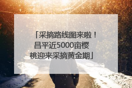 采摘路线图来啦！昌平近5000亩樱桃迎来采摘黄金期