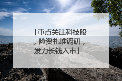 重点关注科技股，险资扎堆调研，发力长钱入市