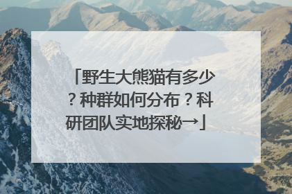 野生大熊猫有多少？种群如何分布？科研团队实地探秘→