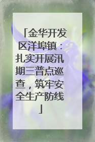 金华开发区洋埠镇：扎实开展汛期三普点巡查，筑牢安全生产防线