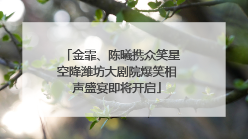 金霏、陈曦携众笑星空降潍坊大剧院爆笑相声盛宴即将开启