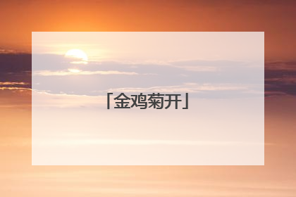 金鸡菊开
