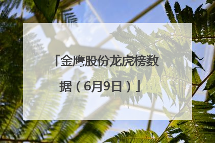 金鹰股份龙虎榜数据（6月9日）