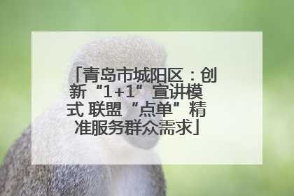 青岛市城阳区：创新“1+1”宣讲模式 联盟“点单”精准服务群众需求