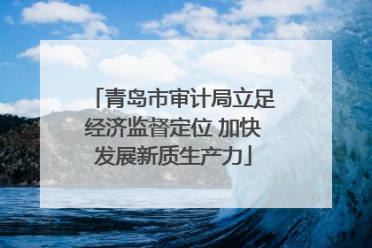 青岛市审计局立足经济监督定位 加快发展新质生产力
