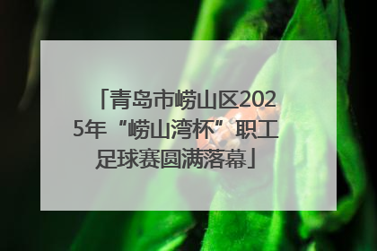 青岛市崂山区2025年“崂山湾杯”职工足球赛圆满落幕
