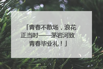 青春不散场，浪花正当时——茅岩河致青春毕业礼！