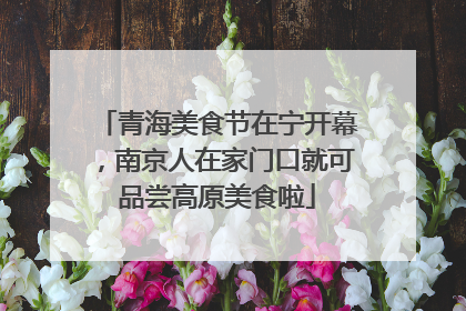 青海美食节在宁开幕，南京人在家门口就可品尝高原美食啦
