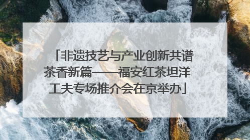 非遗技艺与产业创新共谱茶香新篇——福安红茶坦洋工夫专场推介会在京举办