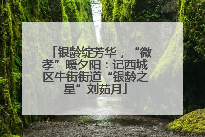 银龄绽芳华，“微孝”暖夕阳：记西城区牛街街道“银龄之星”刘茹月
