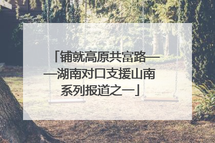 铺就高原共富路——湖南对口支援山南系列报道之一