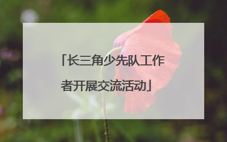 长三角少先队工作者开展交流活动