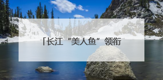长江“美人鱼”领衔！武汉放流近千万尾鱼苗守护绿色生态——湖北武汉青鱼原种场参加2025年“全国放鱼日”增殖放流活动