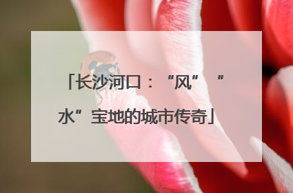 长沙河口：“风”“水”宝地的城市传奇