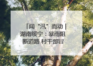 闻“汛”而动｜湖南绥宁：暴雨阻断道路 村干部冒雨抢险保畅通