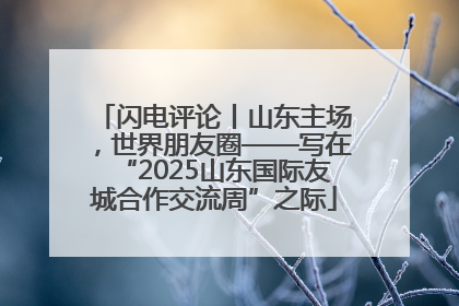 闪电评论丨山东主场，世界朋友圈——写在“2025山东国际友城合作交流周”之际
