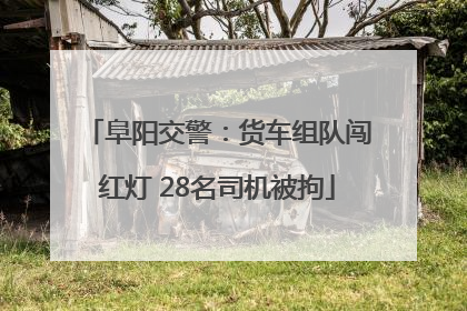阜阳交警：货车组队闯红灯 28名司机被拘