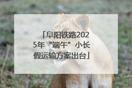 阜阳铁路2025年“端午”小长假运输方案出台