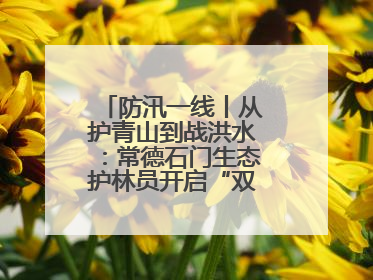 防汛一线丨从护青山到战洪水：常德石门生态护林员开启“双重守护”模式