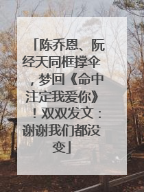 陈乔恩、阮经天同框撑伞，梦回《命中注定我爱你》！双双发文：谢谢我们都没变