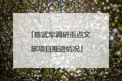 陈武军调研重点文旅项目推进情况