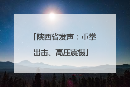 陕西省发声：重拳出击、高压震慑
