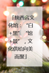 陕西省文化馆：“白+黑”“馆+景”，文化供给向美而聚