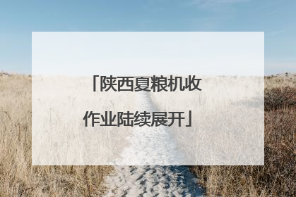 陕西夏粮机收作业陆续展开
