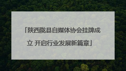 陕西陇县自媒体协会挂牌成立 开启行业发展新篇章