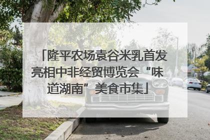 隆平农场袁谷米乳首发亮相中非经贸博览会“味道湖南”美食市集