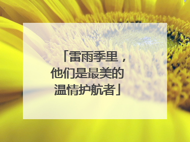 雷雨季里，他们是最美的温情护航者