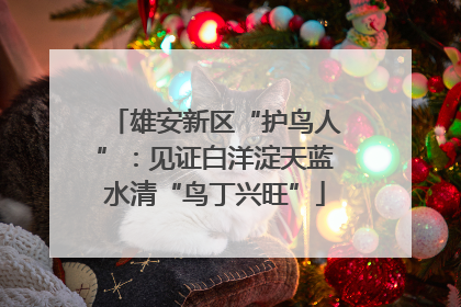 雄安新区“护鸟人”：见证白洋淀天蓝水清“鸟丁兴旺”