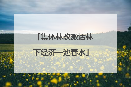 集体林改激活林下经济一池春水