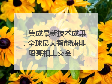 集成最新技术成果，全球最大智能铺排船亮相上交会
