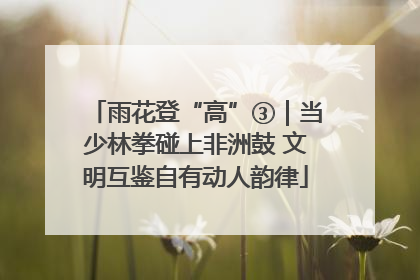 雨花登“高”③｜当少林拳碰上非洲鼓 文明互鉴自有动人韵律