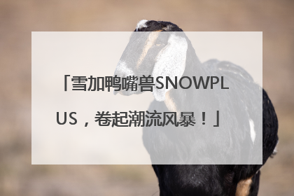雪加鸭嘴兽SNOWPLUS，卷起潮流风暴！