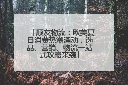 顺友物流：欧美夏日消费热潮涌动，选品、营销、物流一站式攻略来袭