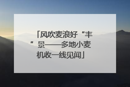 风吹麦浪好“丰”景——多地小麦机收一线见闻