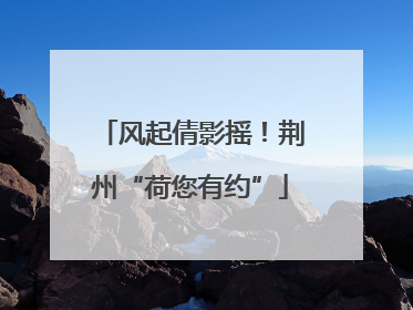 风起倩影摇！荆州“荷您有约”