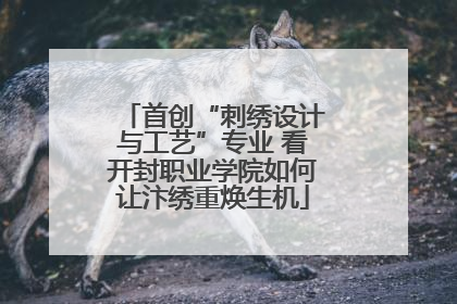 首创“刺绣设计与工艺”专业 看开封职业学院如何让汴绣重焕生机