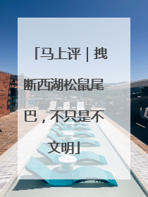 马上评｜拽断西湖松鼠尾巴，不只是不文明