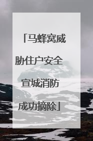 马蜂窝威胁住户安全 宣城消防成功摘除