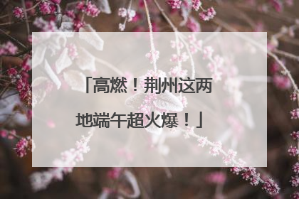 高燃！荆州这两地端午超火爆！
